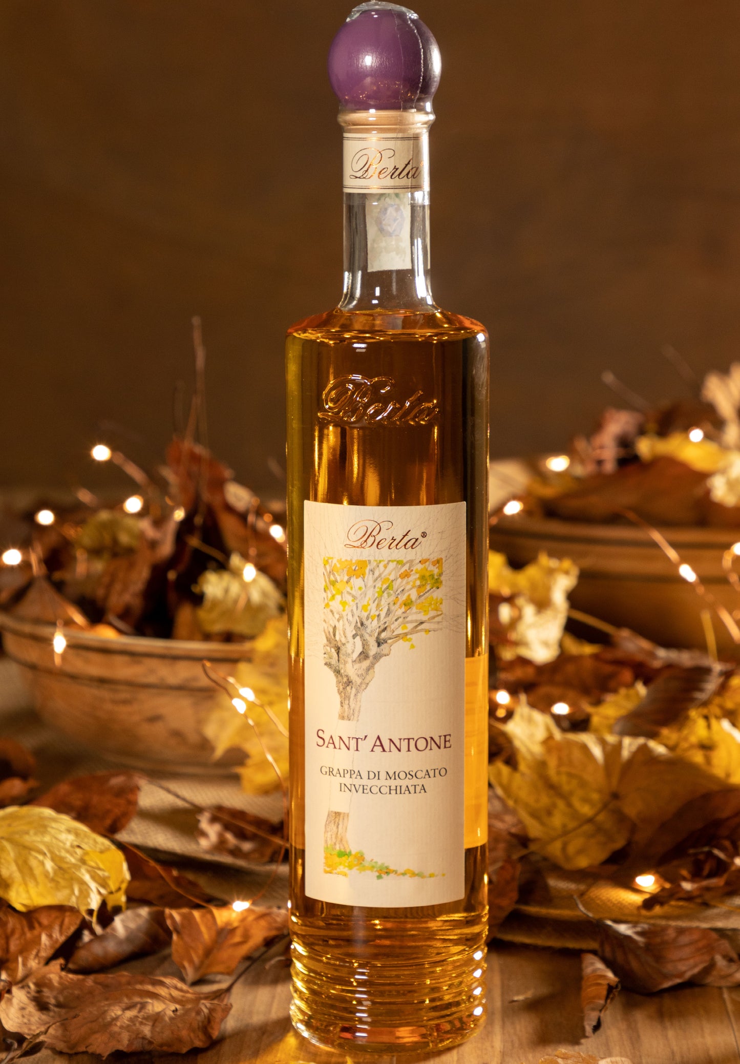 AGED MOSCATO GRAPPA SANT'ANTONE
