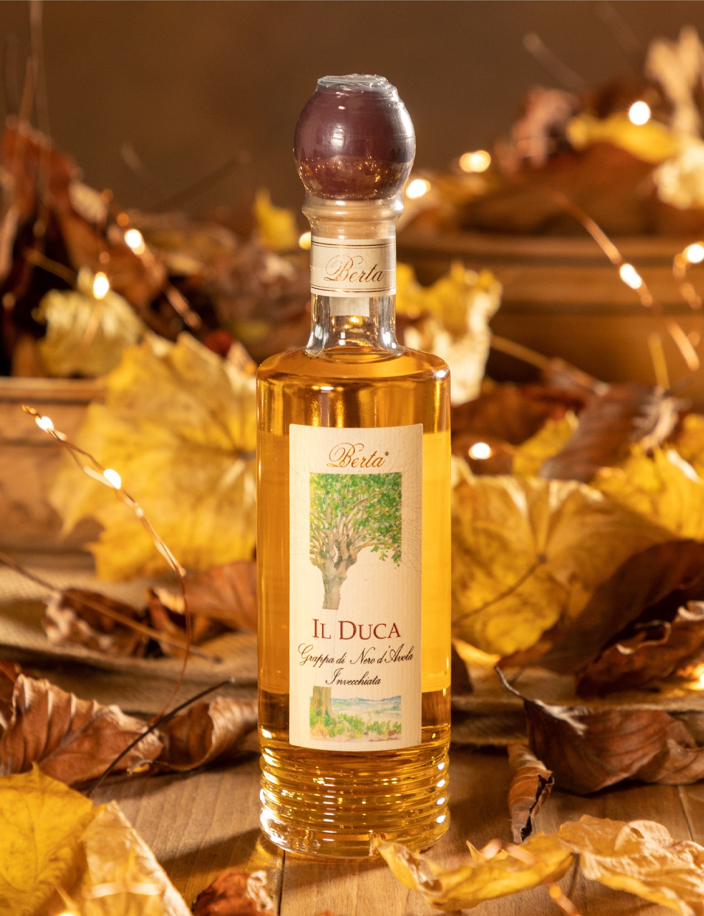 AGED NERO D'AVOLA GRAPPA IL DUCA
