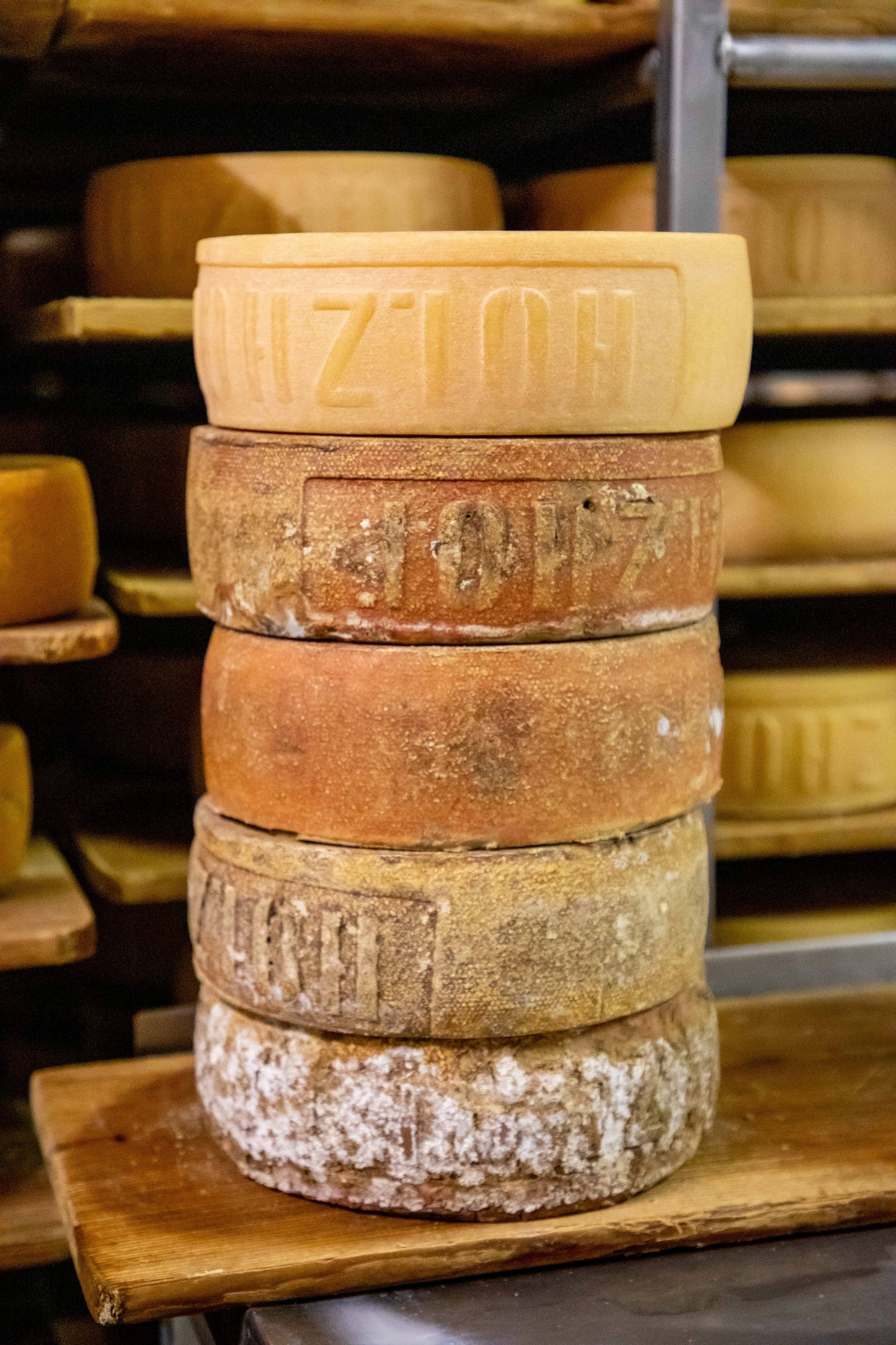 HOLZHOFER - Formaggidieros