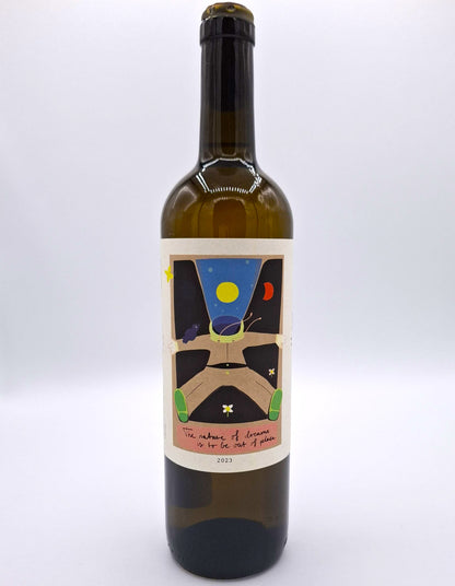 VIN DE FRANCE BLANC - "THE NATURE OF DREAMS IS TO BE OUT OF PLACE" - NENU'