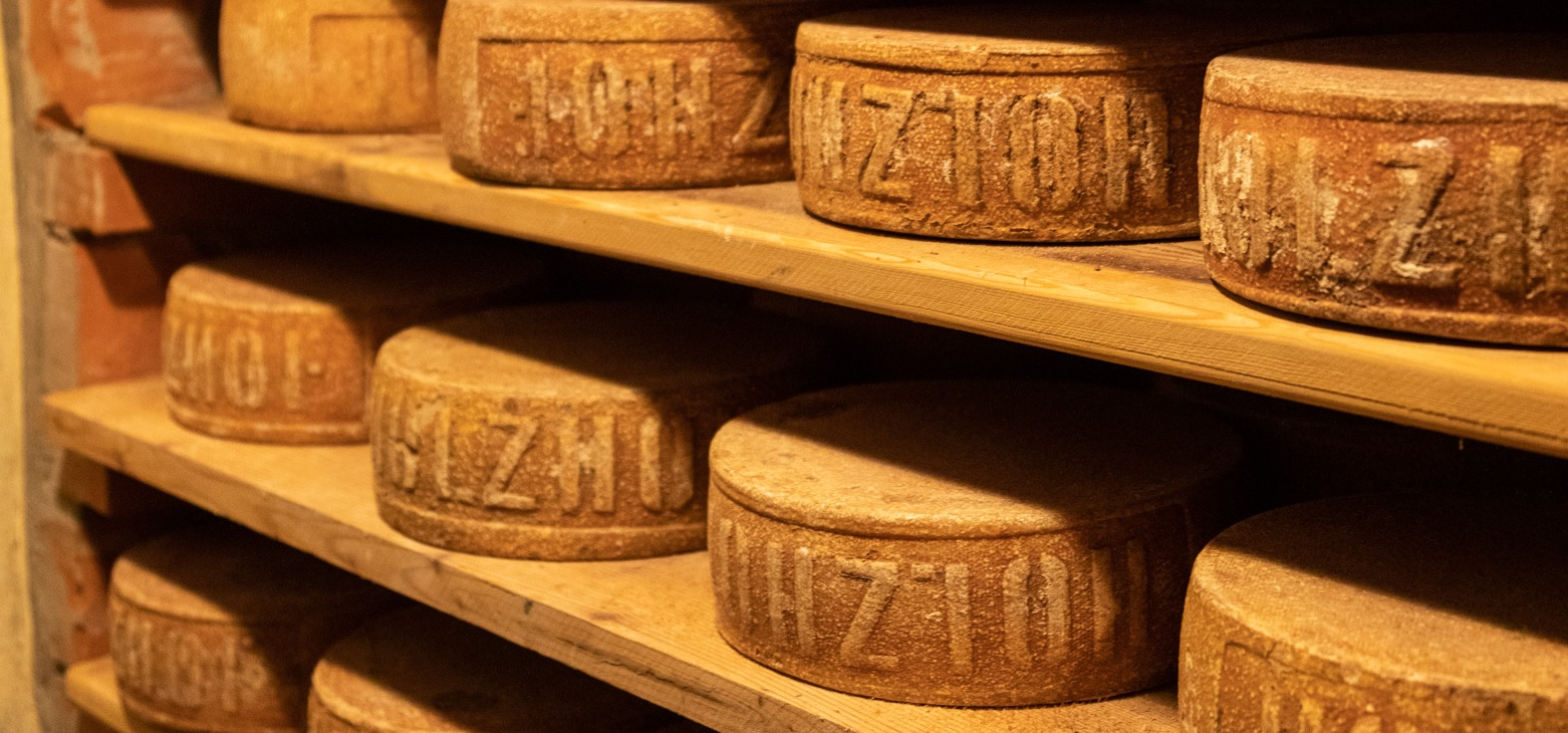 HOLZHOFER - Formaggidieros